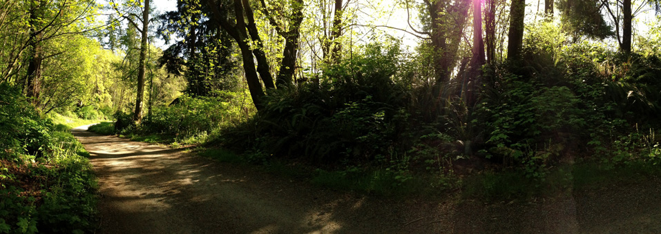 Special Nature Walk-n-Talk Down to Seahurst Beach