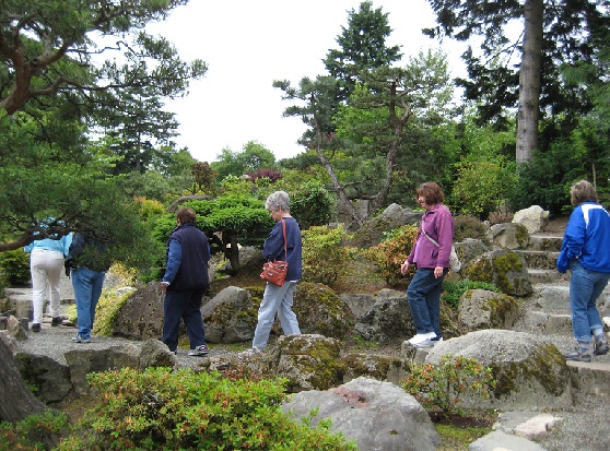 WABI Weekday Walkers June 18 at the Japanese Garden in SeaTac Botanical Garden.