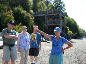 Marine View Pk, Crab