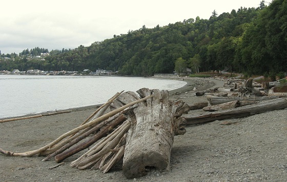 Seahurst-beach