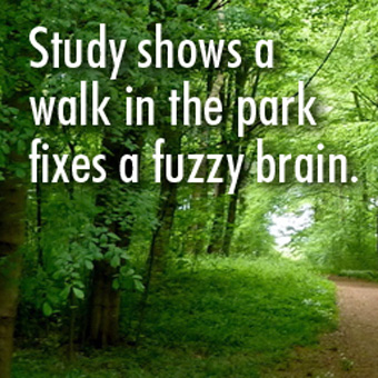 Study shows a walk in the park fixes a fuzzy brain