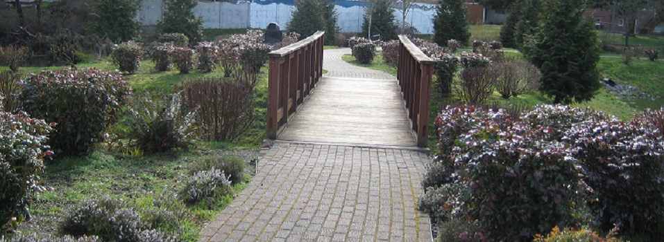 “Secret Gardens” WABI Weekday Walk, Feb. 21, 9 am